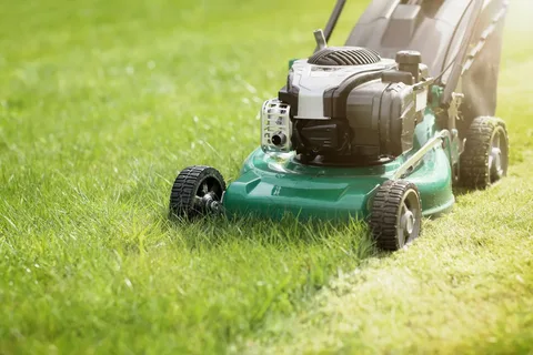 Lawn Care Brampton