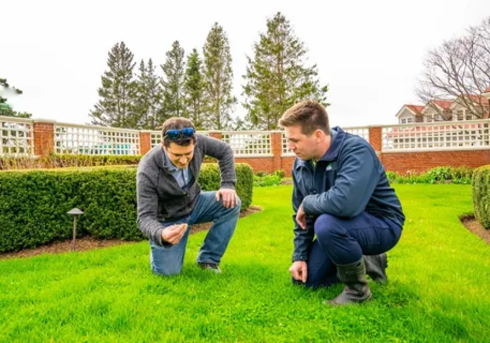 Lawn Care in Oakville