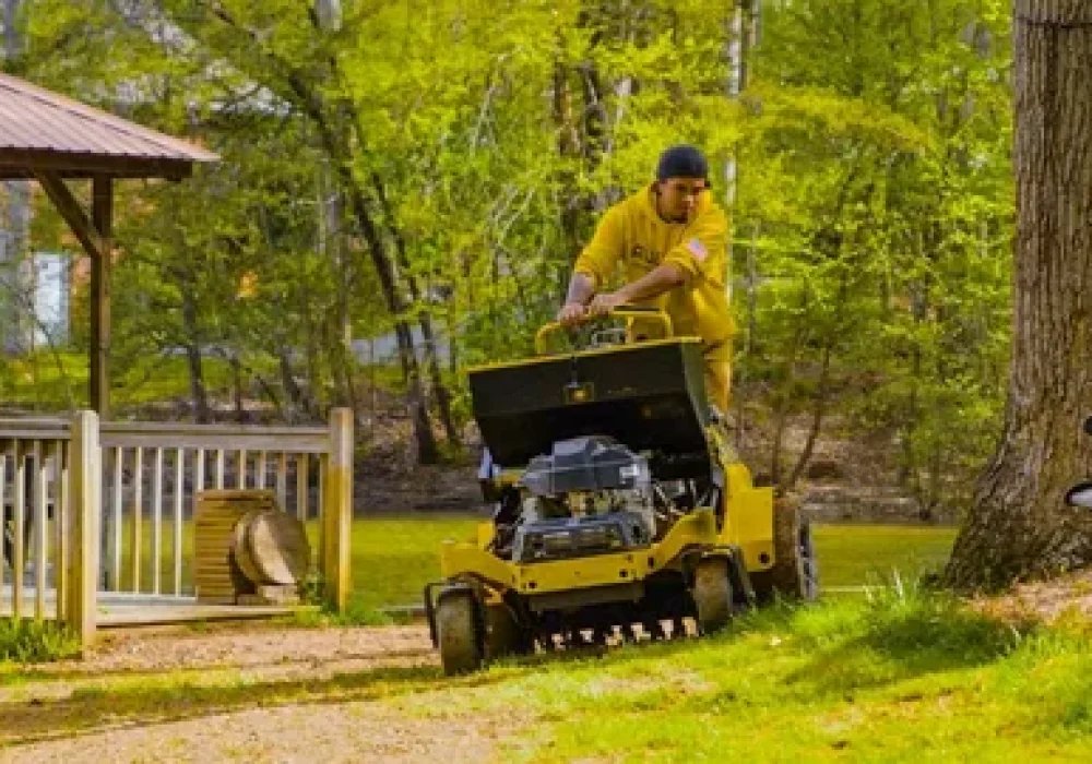 Lawn Care in Oakville