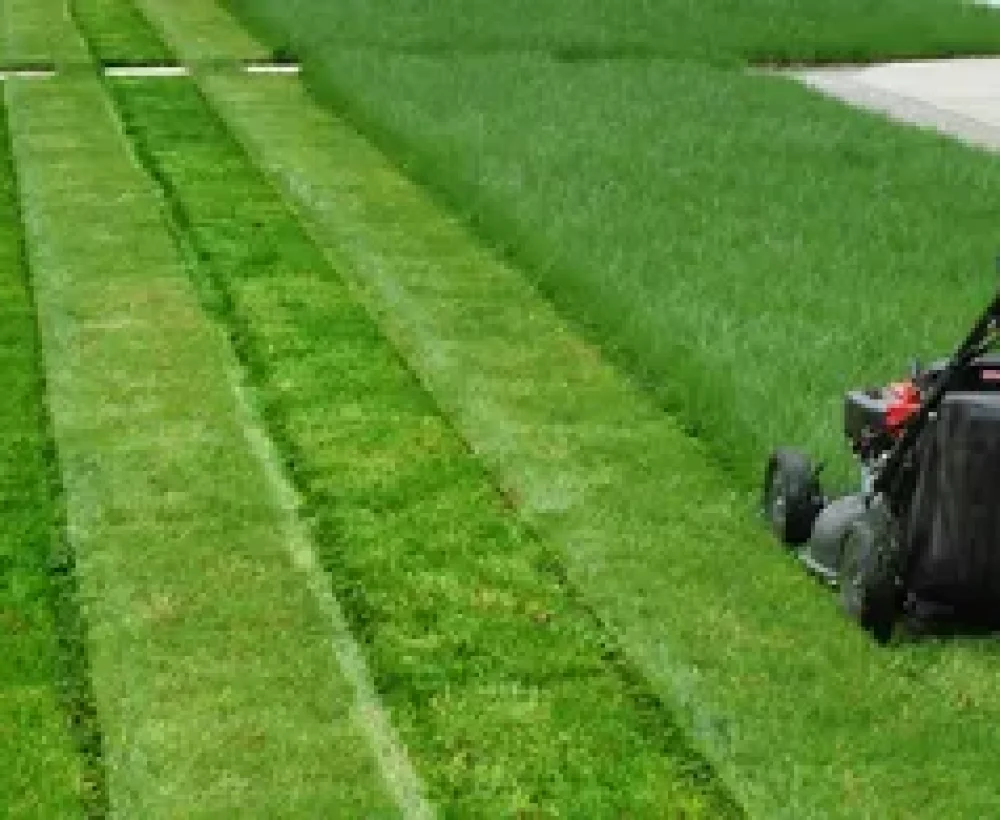 Mississauga Lawn Mowing Service