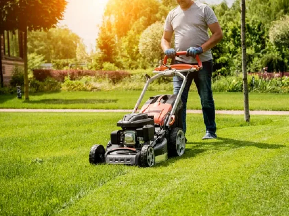 Mississauga Lawn Mowing Service