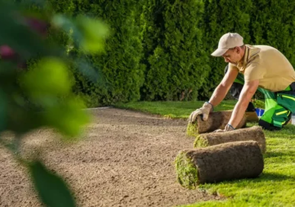 Lawn Mowing Brampton