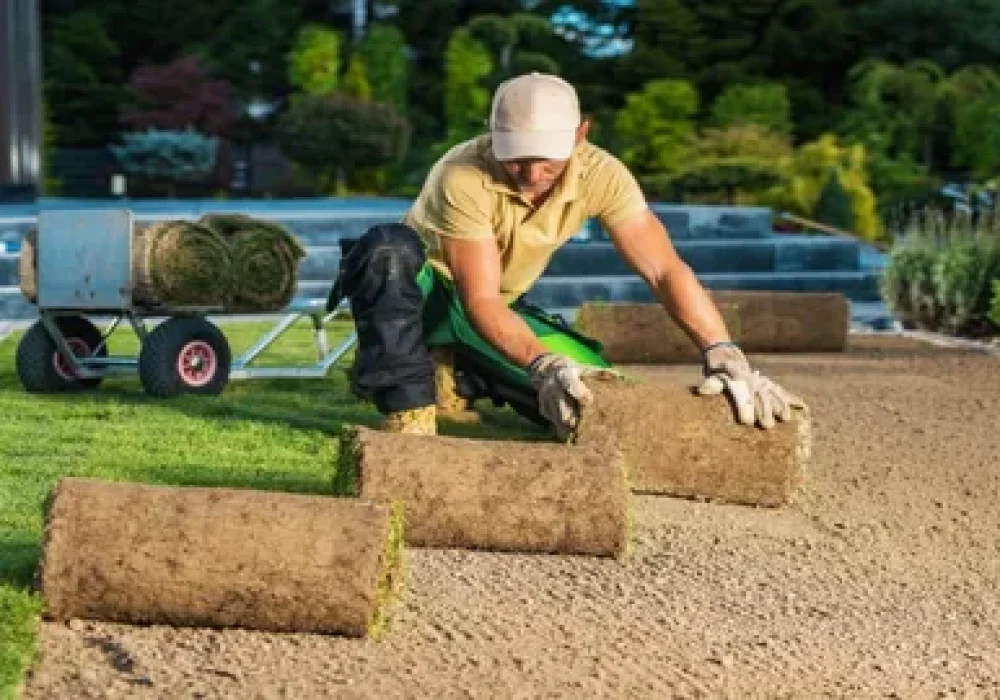 Lawn Mowing Brampton