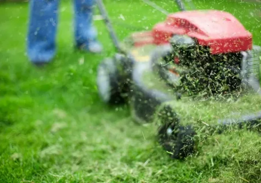 Lawn Cutting Brampton