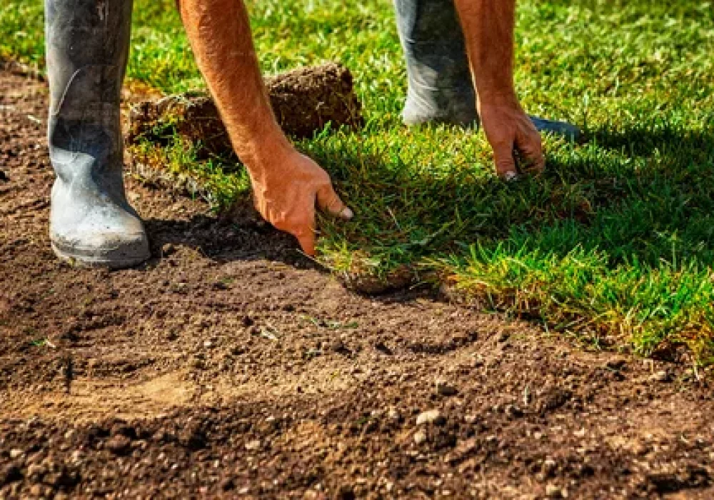 Lawn Cutting Brampton