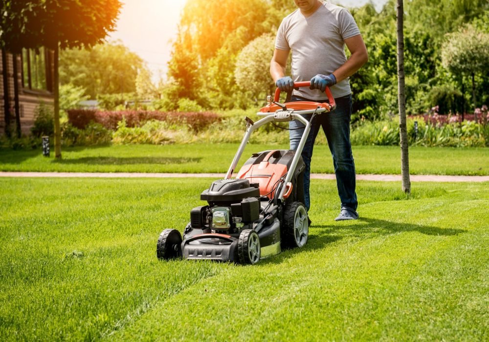 imgi_62_lawn-and-yard-work-angi-v2