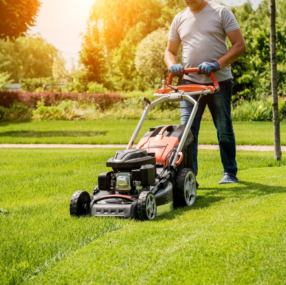 imgi_62_lawn-and-yard-work-angi-v2