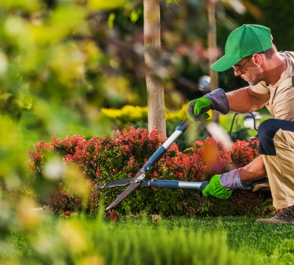 imgi_78_landscaping1-2048x1366
